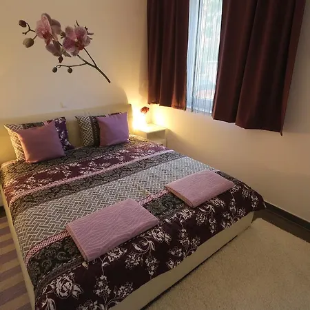 Apartment Amfora Kozino