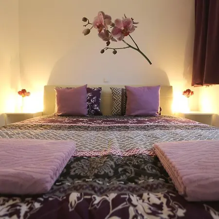 Appartement Amfora *
